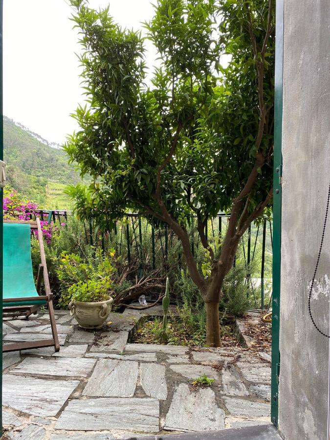 Cottage La Terrazza Levanto Exterior photo